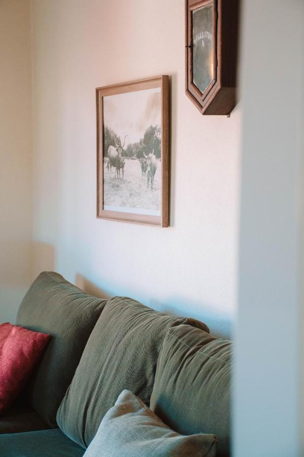 Just Like - Casa Antonio Em * Paredes de Coura